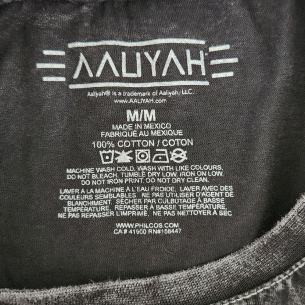 Aaliyah R&B Graphic TShirt Charcoal Grey Mineral Wash Size Medium Unisex - Picture 10 of 14
